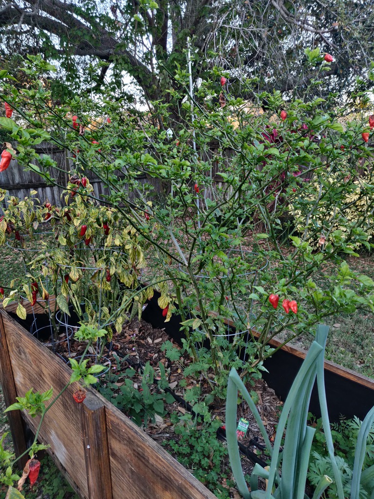 Ooch, not looking so hot